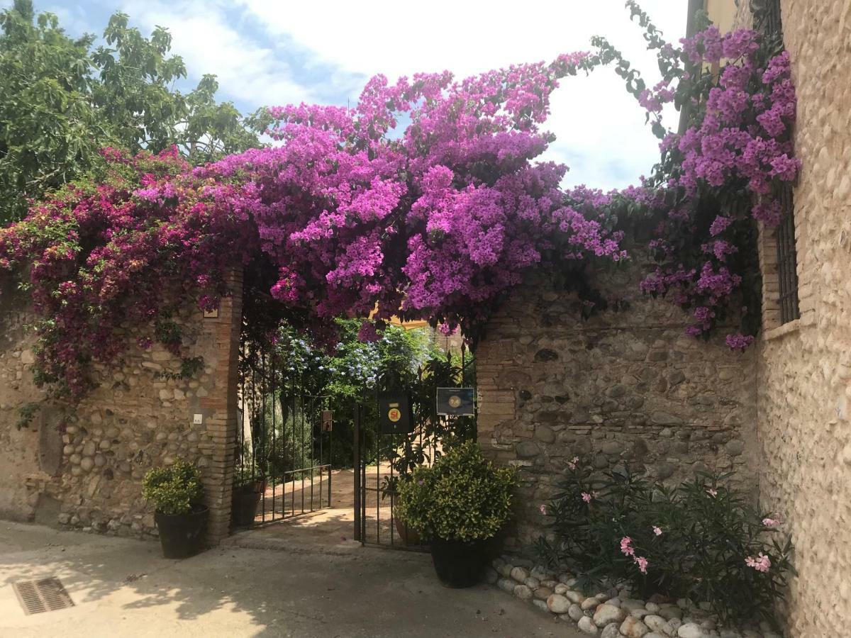 Villa Niu Saldet Exterior foto